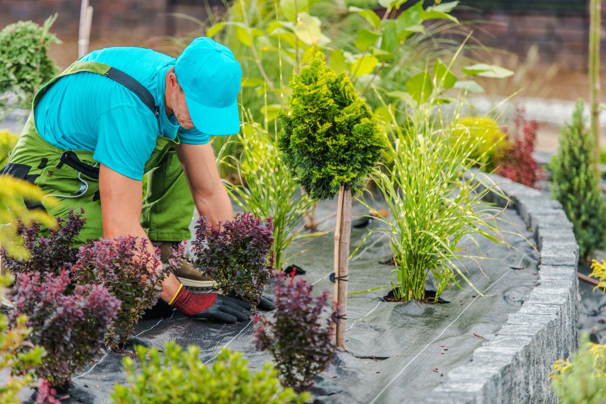 Souffleur De Feuilles Pour Enfants à Piles - Outil Jardinage Réaliste Tout-Petits