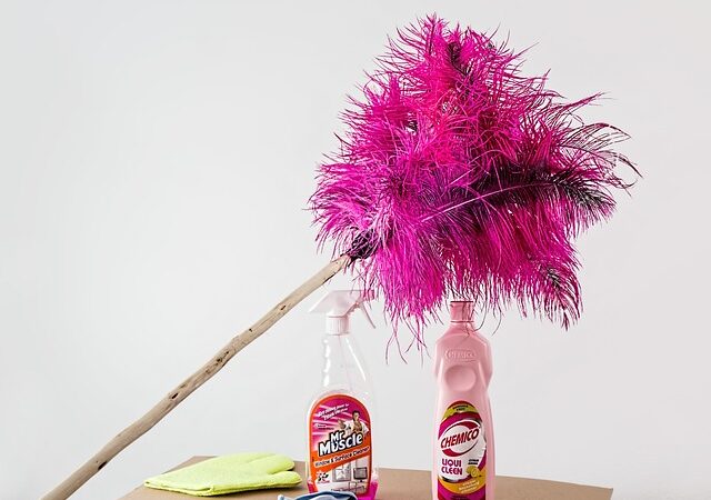 Astuces pour un nettoyage rapide avant l&rsquo;arrivée des invités