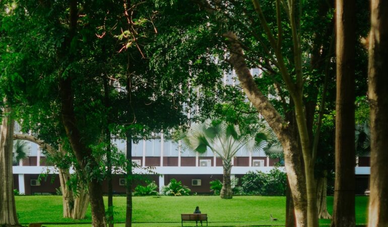 Engazonnement rapide : astuces pour un résultat uniforme