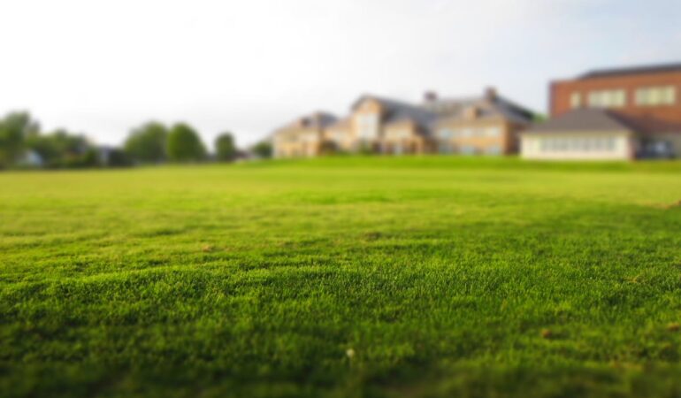 Pourquoi l&rsquo;aération pelouse est vitale pour les sols argileux?