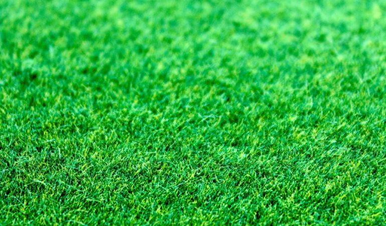 Adapter son gazon pour maximiser l&rsquo;économie d&rsquo;eau