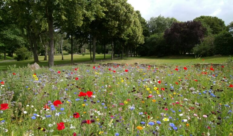 Comment déterminer la nature du sol de son jardin?