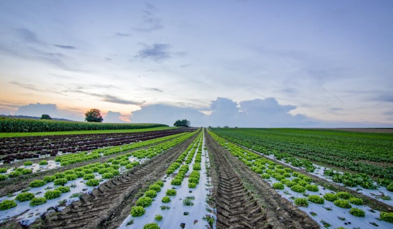 Drainages agricoles et protection des nappes phréatiques : gérer les fuites