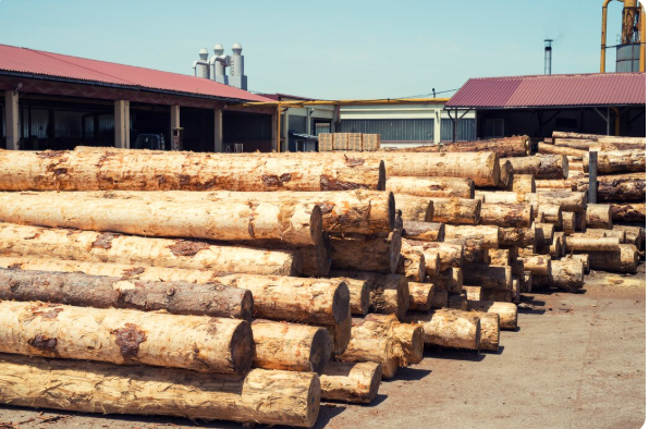 Grume de chauffage : préserver la qualité du bois en soignant son stockage