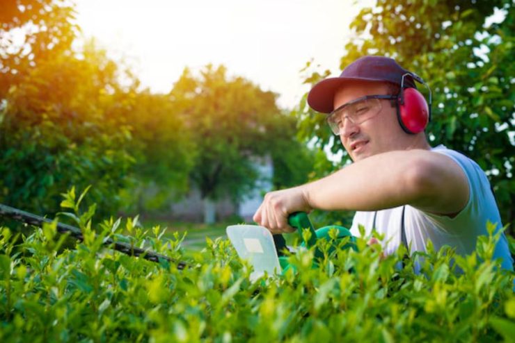 Entretien d’espaces verts : préserver la beauté de vos extérieurs