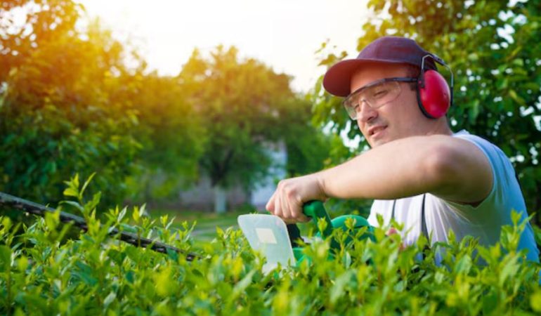 Entretien d’espaces verts : préserver la beauté de vos extérieurs