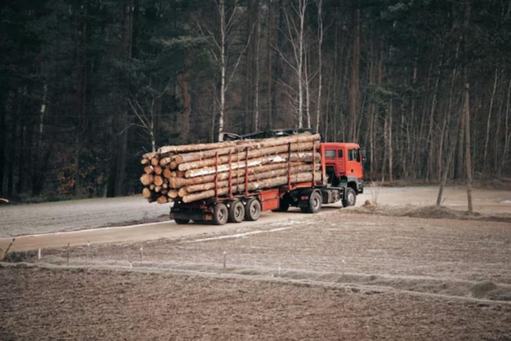 Transport de bois : optimiser l’acheminement des grumes et matériaux