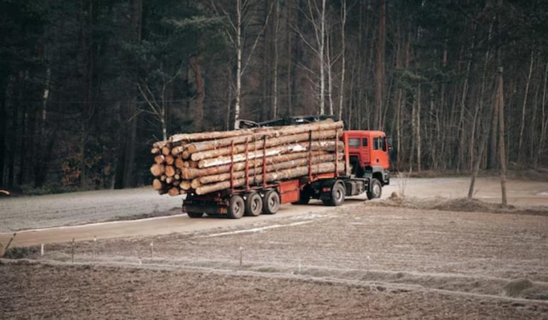 Transport de bois : optimiser l’acheminement des grumes et matériaux