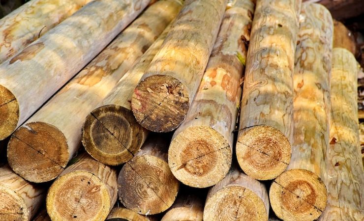 Pourquoi les architectes plébiscitent le bois certifié FSC/PEFC