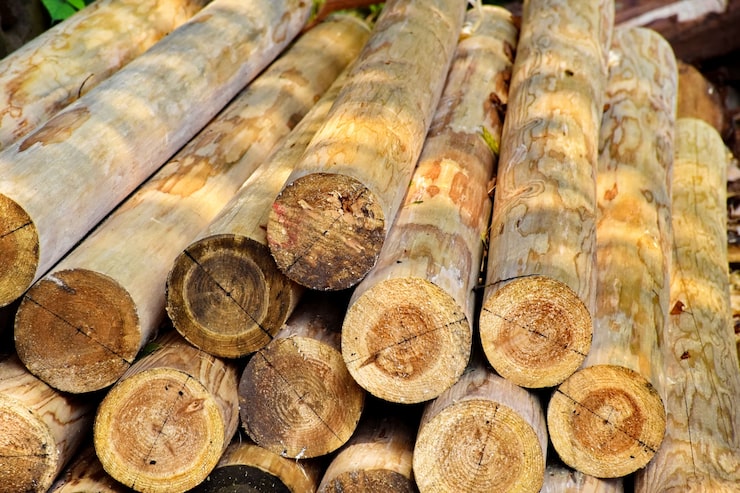 Pourquoi les architectes plébiscitent le bois certifié FSC/PEFC