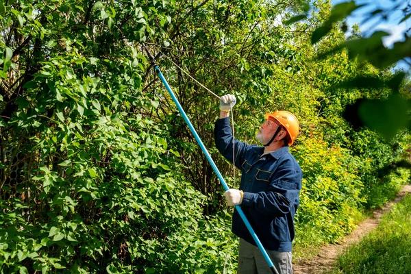 Élagage : protéger votre maison de la chute de branches