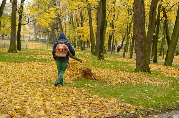 Avantages du contrat annuel d’entretien de jardin pour une résidence secondaire