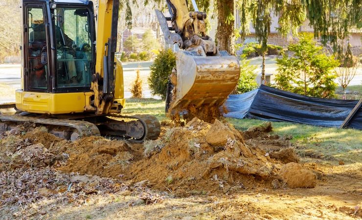 Pourquoi associer abattage et dessouchage après la coupe ?